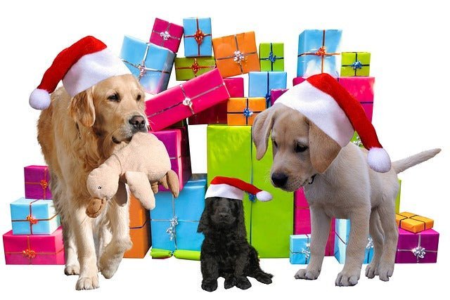 Dogs Christmas Dinner; Do's and Don'ts 